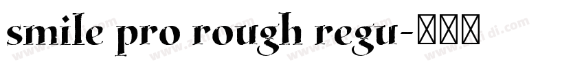 smile pro rough regu字体转换